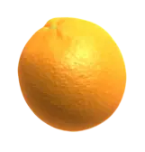 Orange Fruit Warp